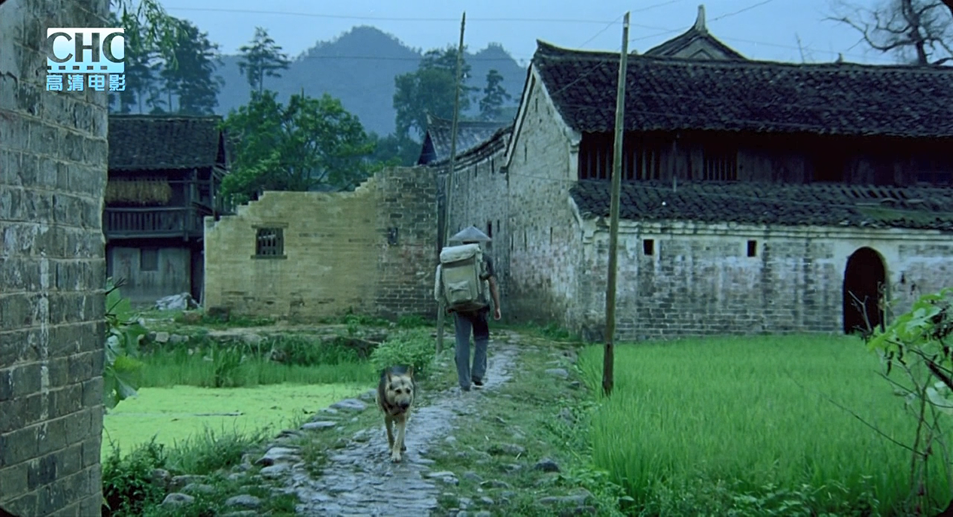 image-20200507230029188