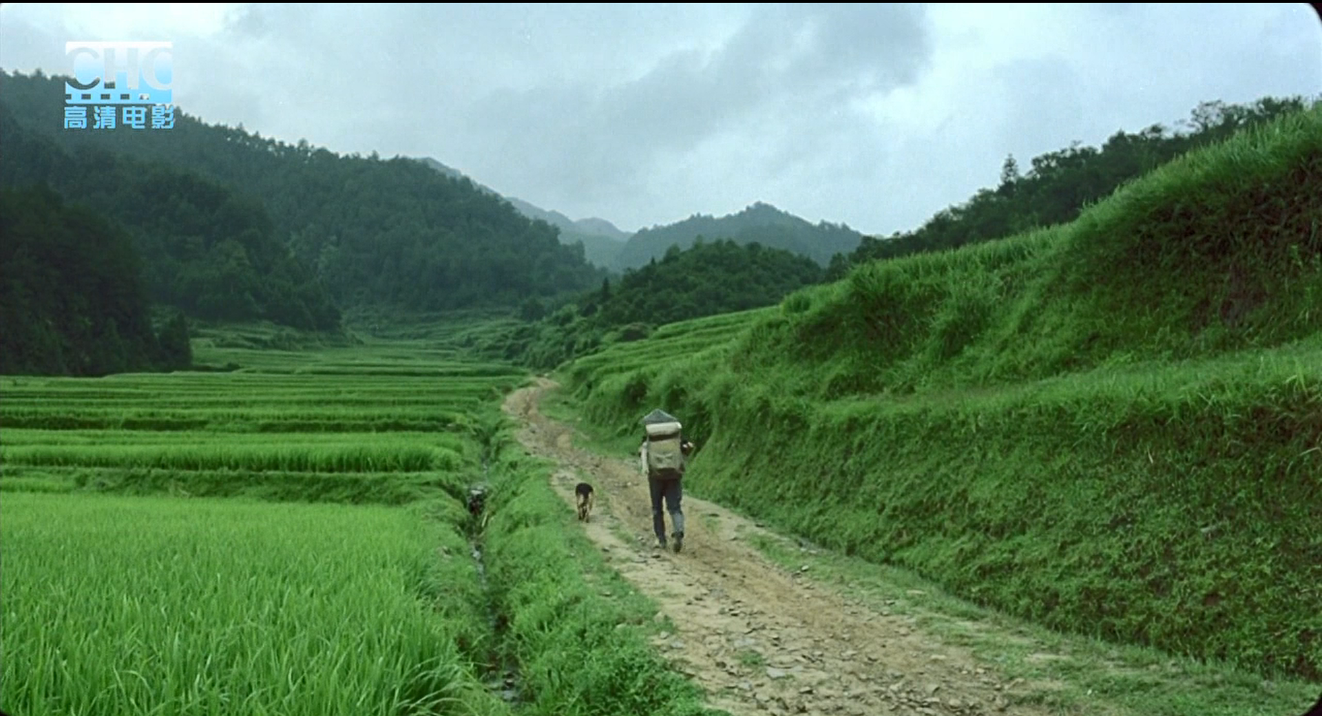 image-20200507230141338