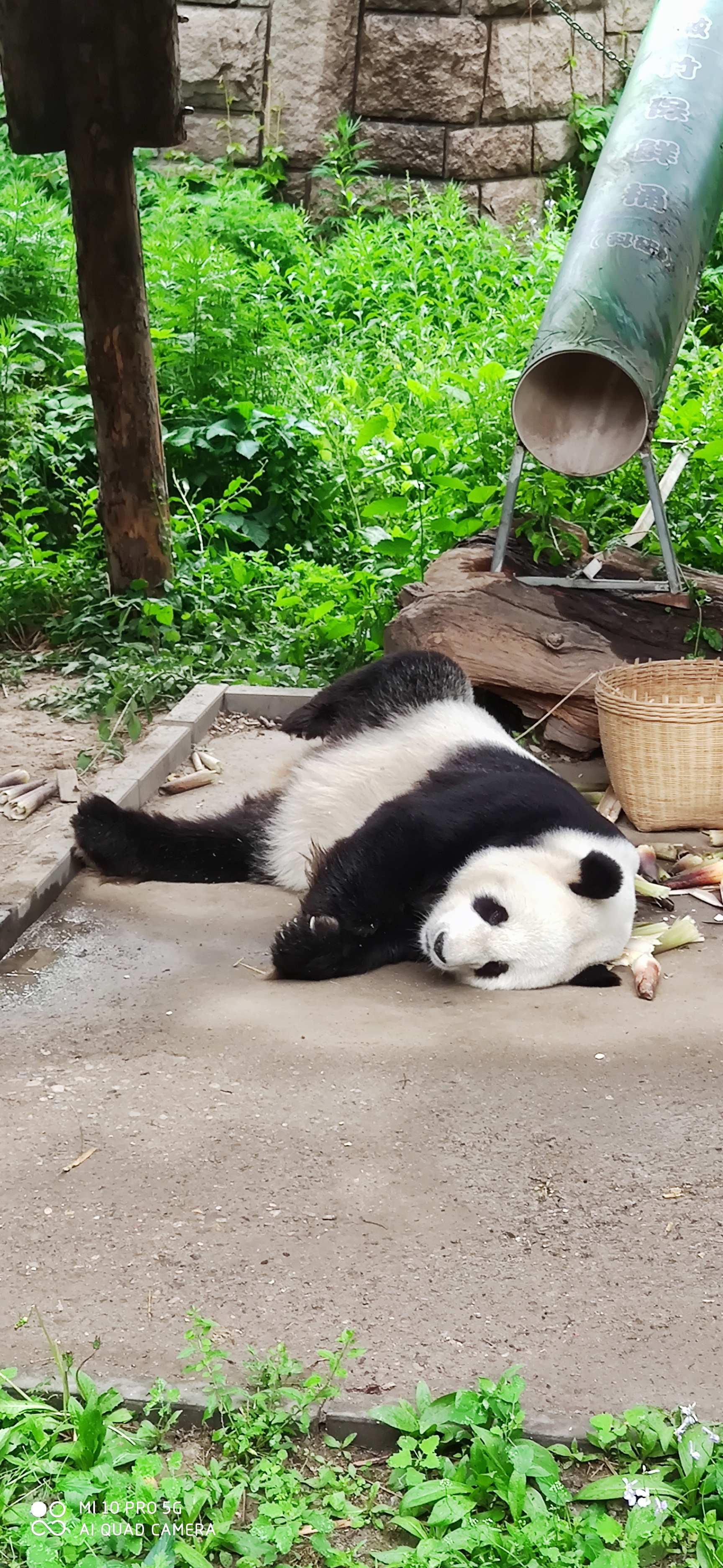 image-20200508155829237