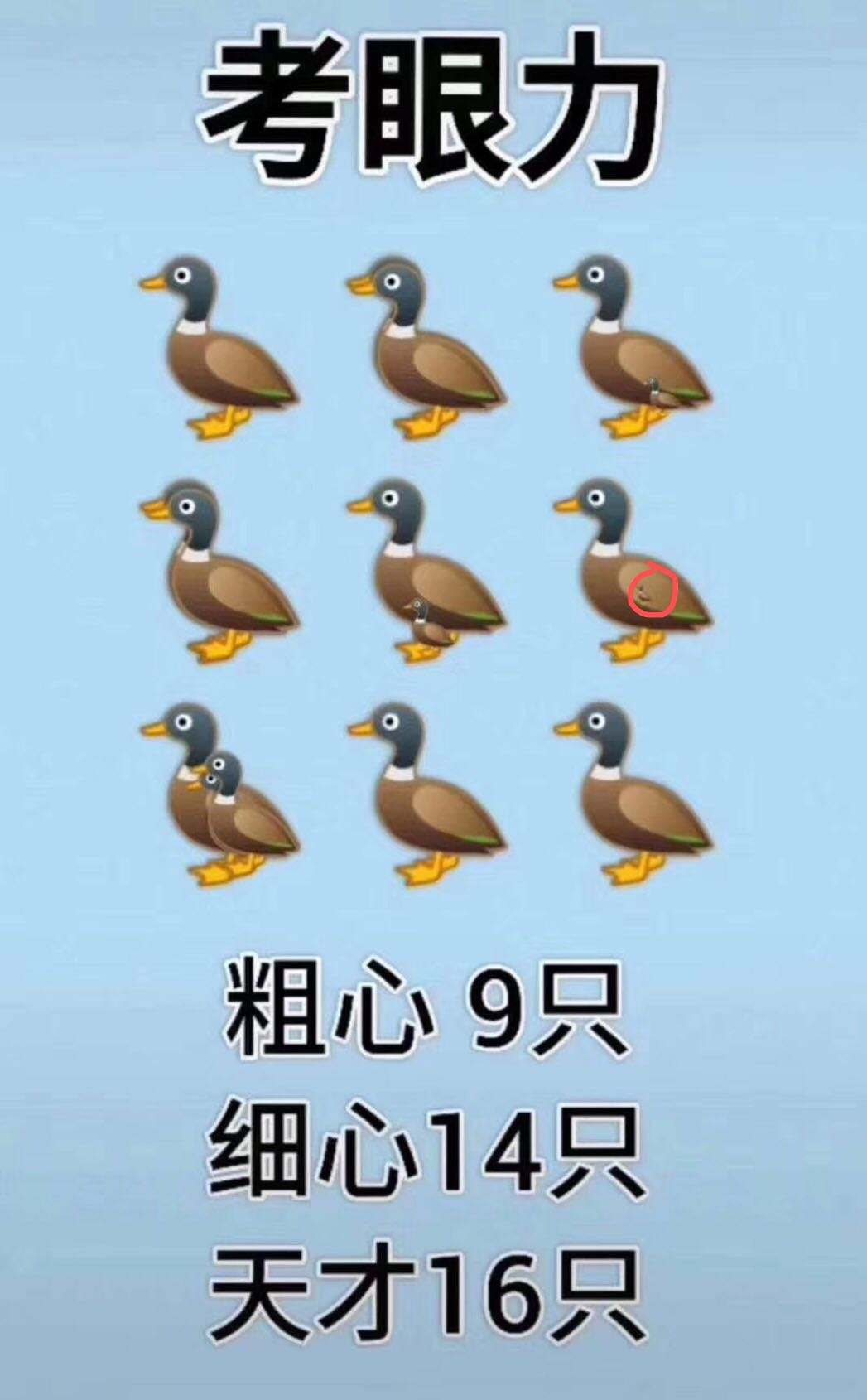 image-20200511184921343