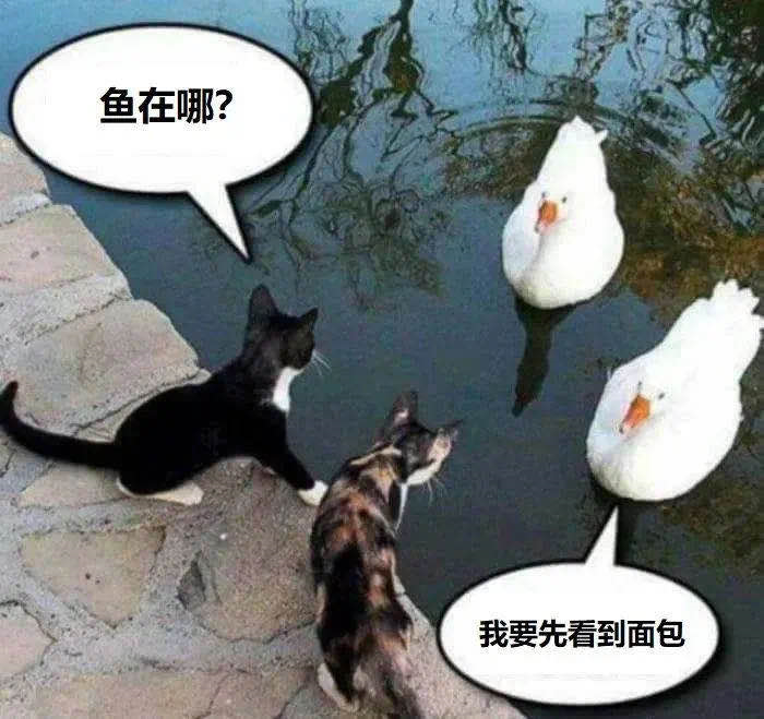 image-20200512225624601