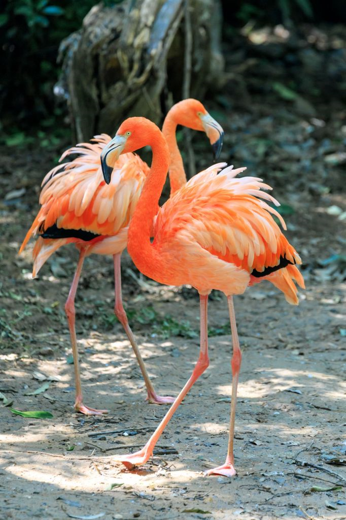 image-20200519204549147