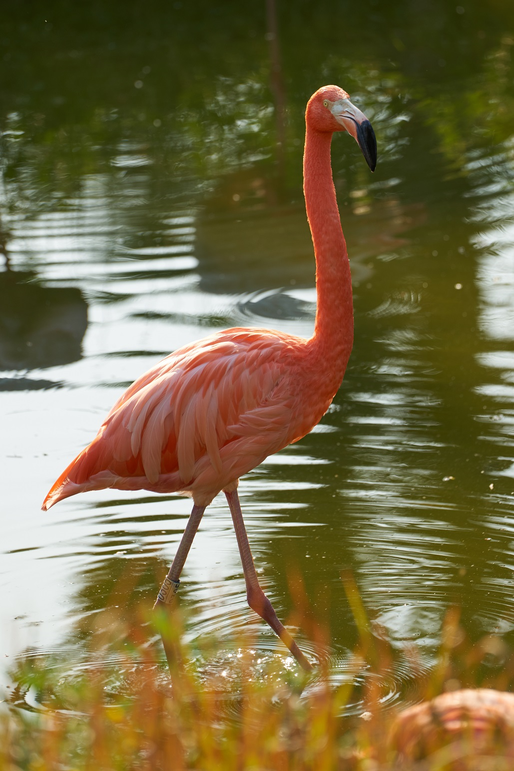 image-20200519204553645