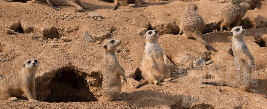 image-20200519204616790