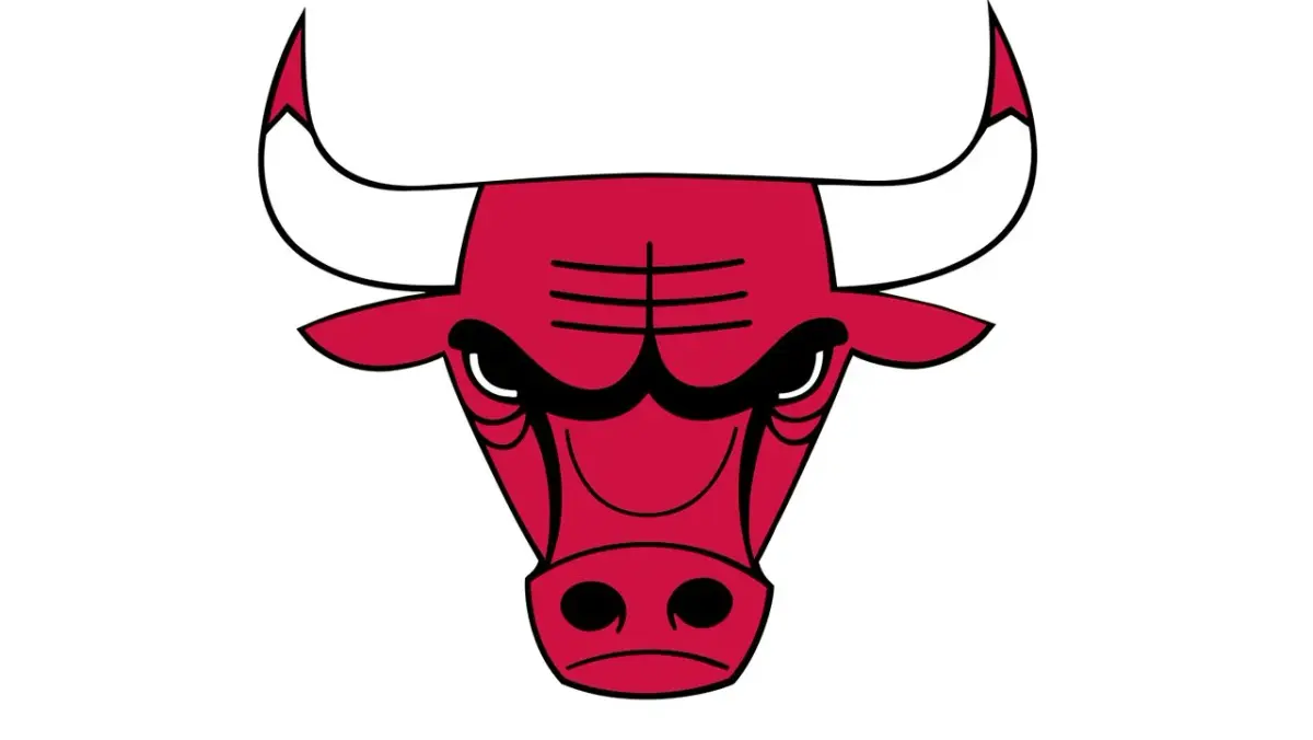 Chicago Bulls