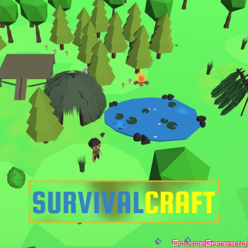 Survival craft