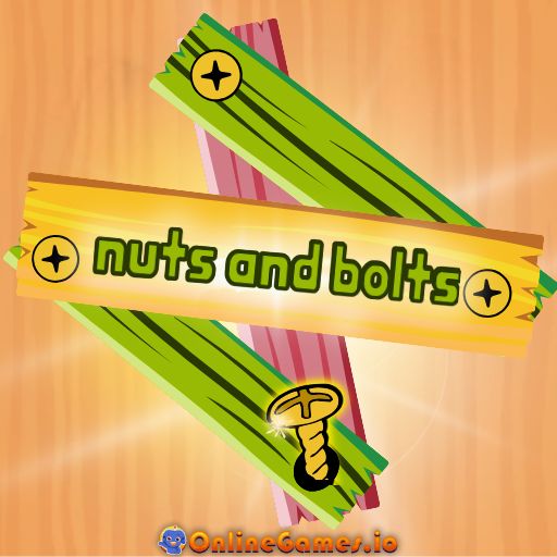 Nuts and bolts puzzle