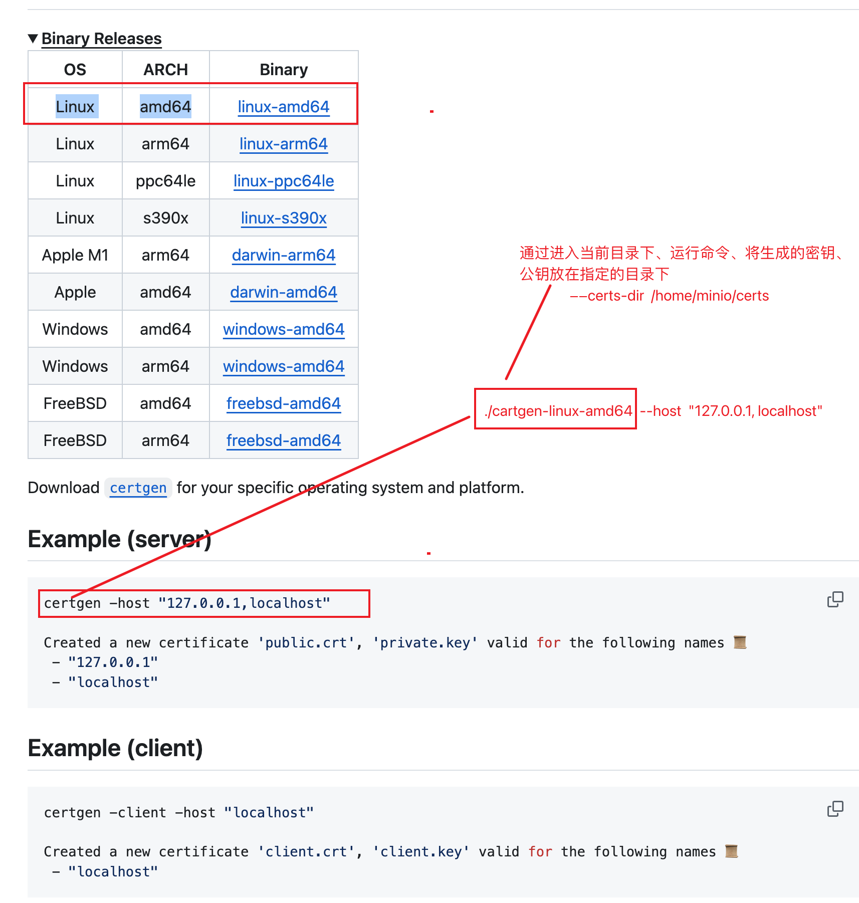 minio-https