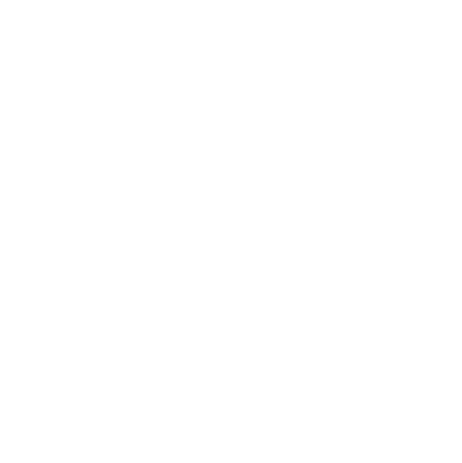 Controller role icon