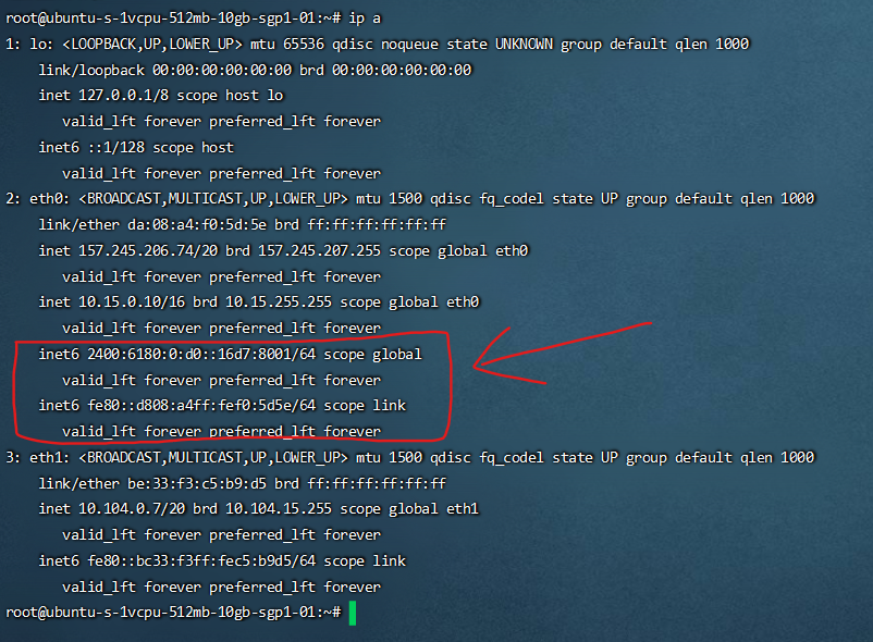 检查 IPv6 是否已经启用