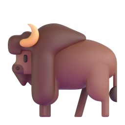 Bison