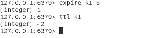 image-20240219140942119