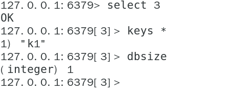 image-20240219141701442