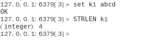 image-20240219144448560