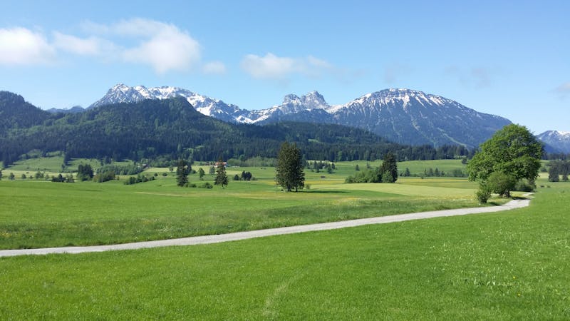 Navidrome自建音源