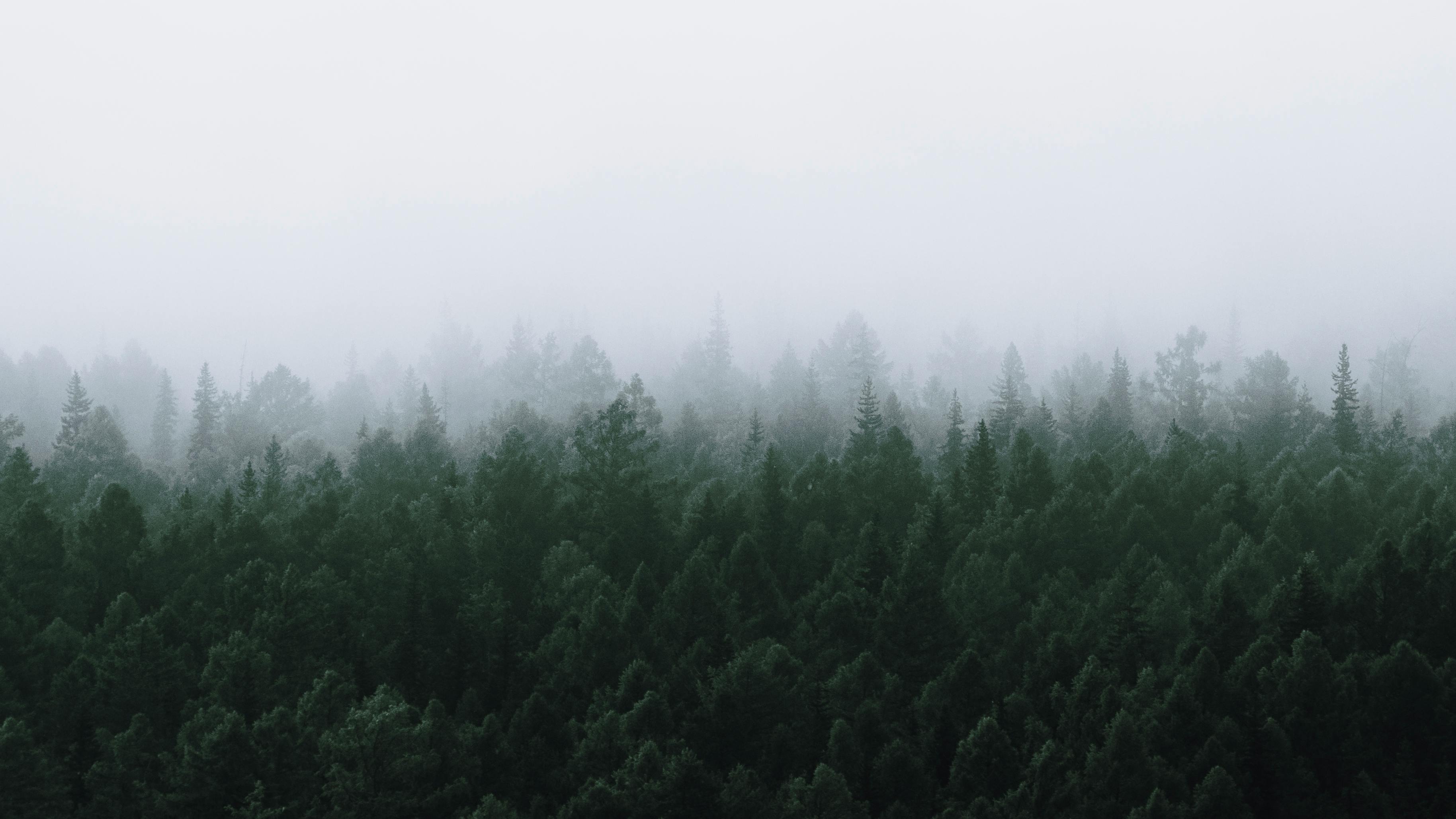 k30p开启lxc、docker