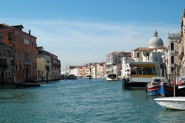 TelegramMediaDownload