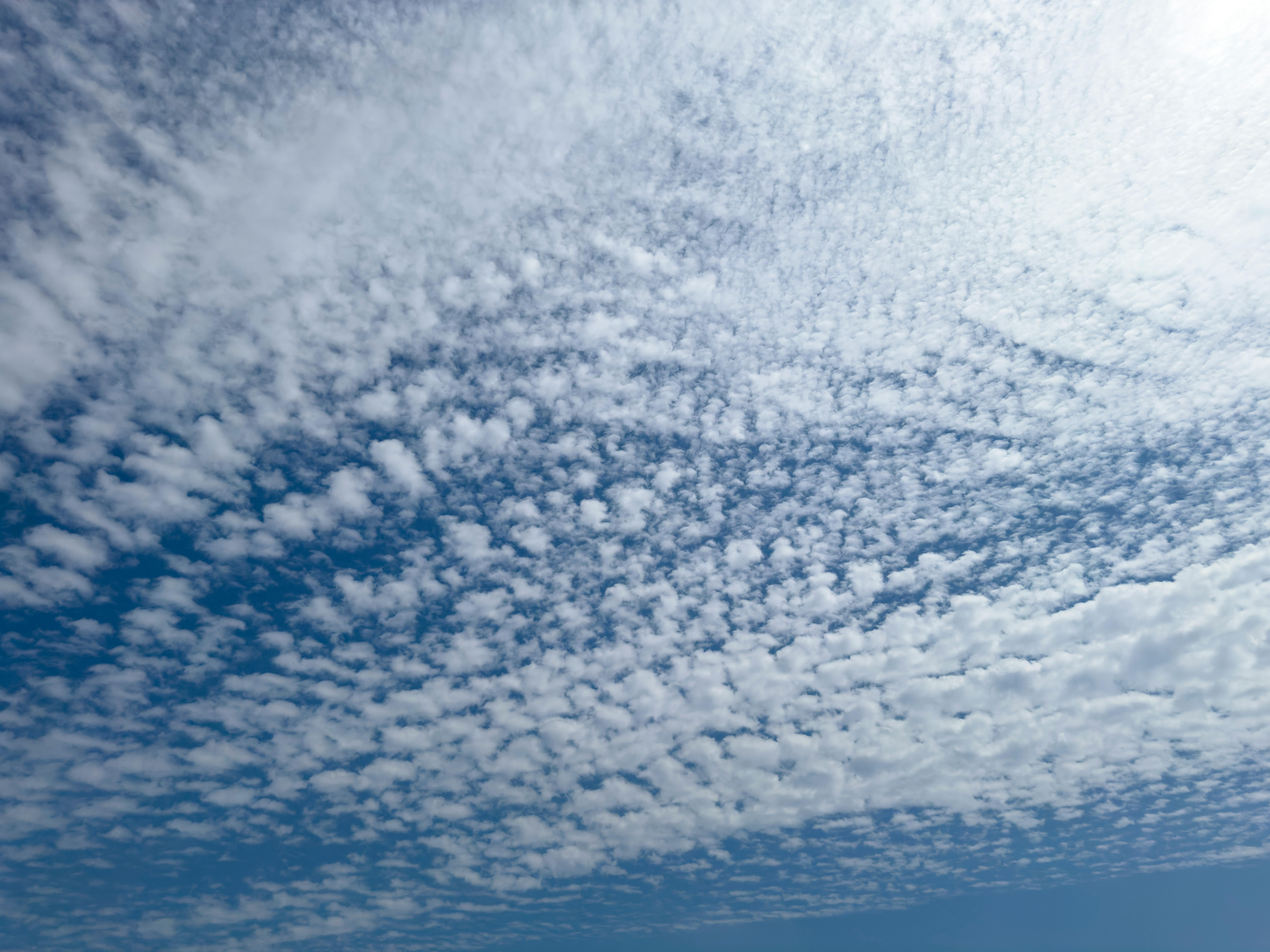 某餐馆运营数据分析报告