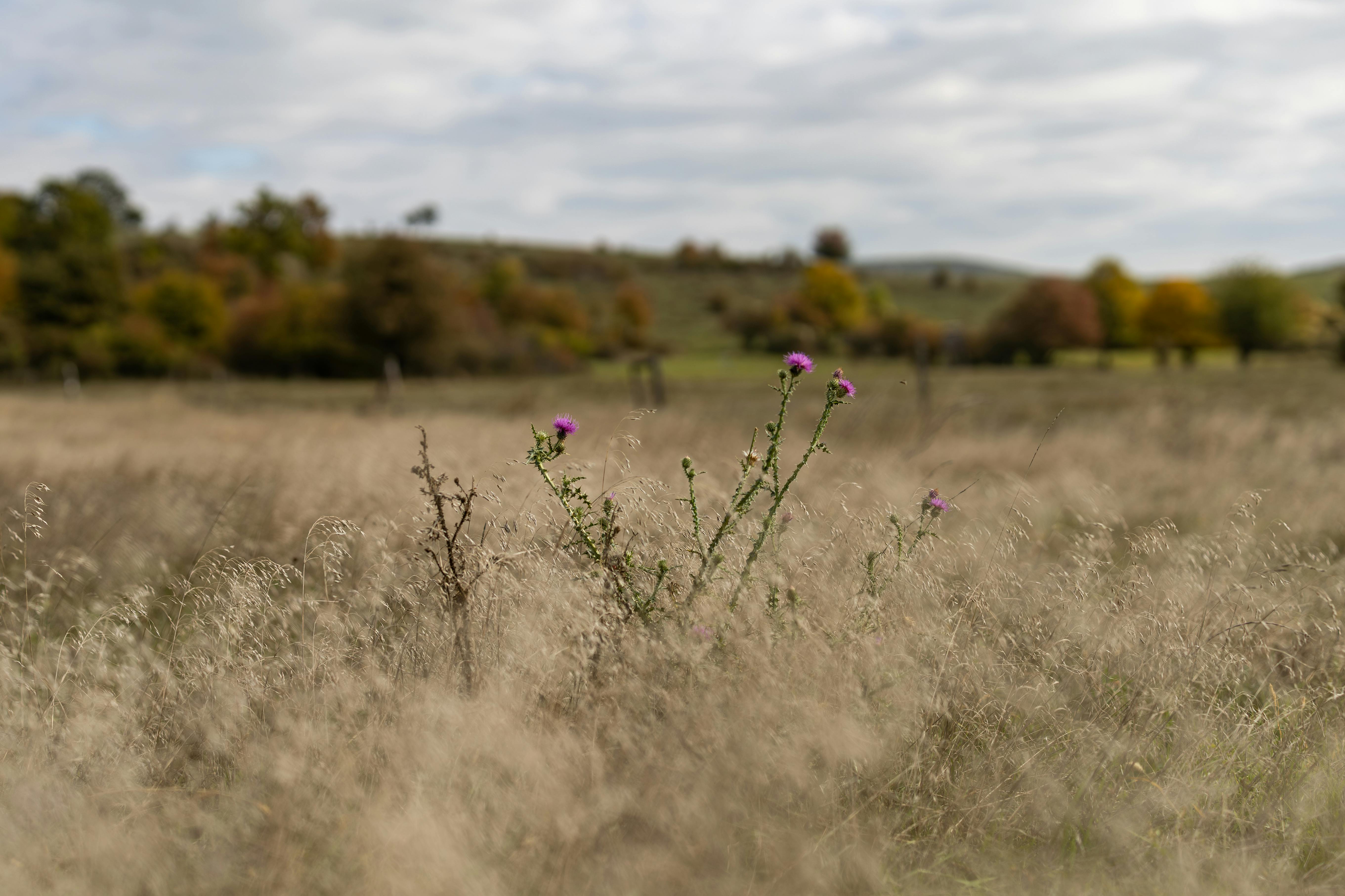 Linux服务器磁盘清理