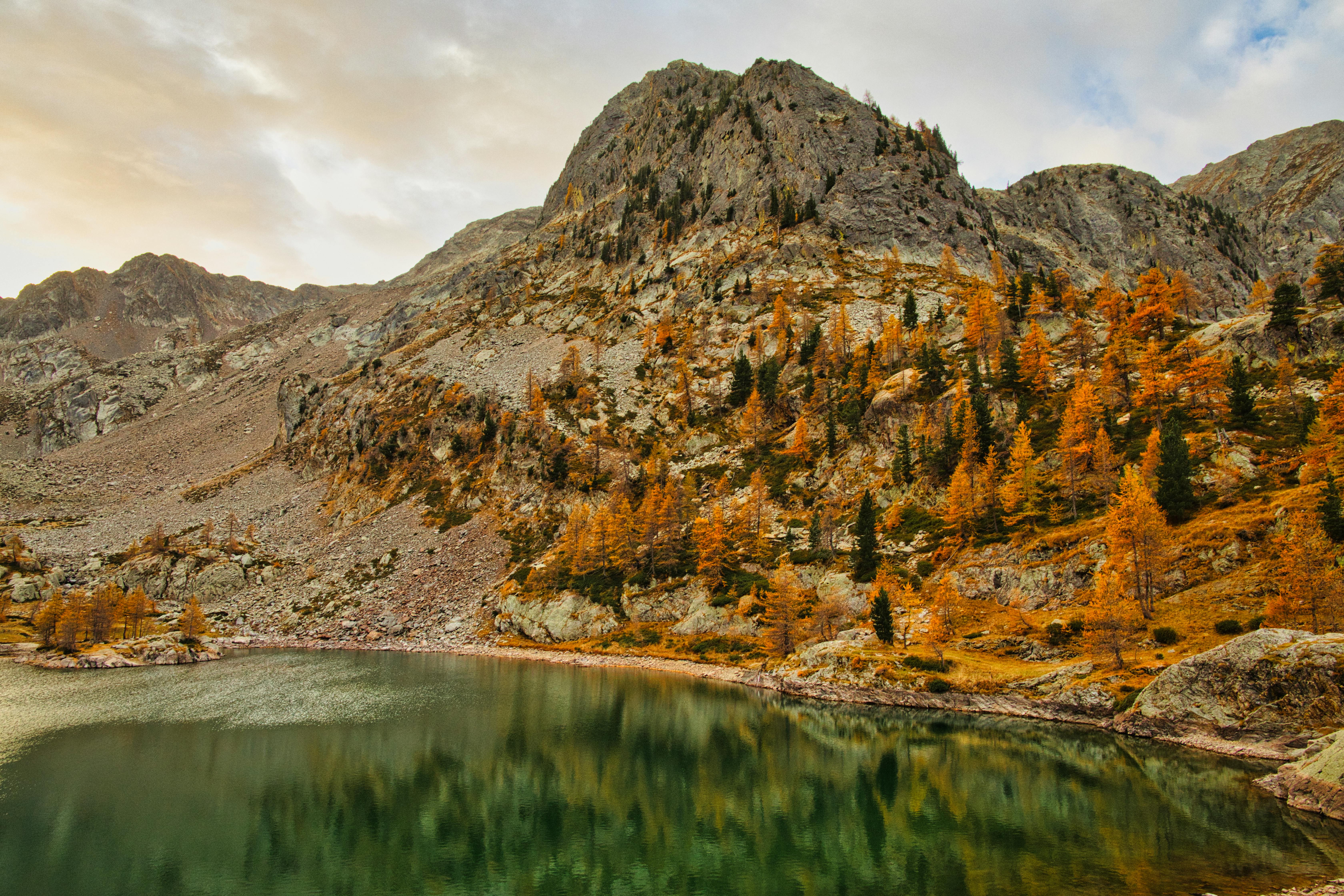 AOB 搜索与“健壮”特征码