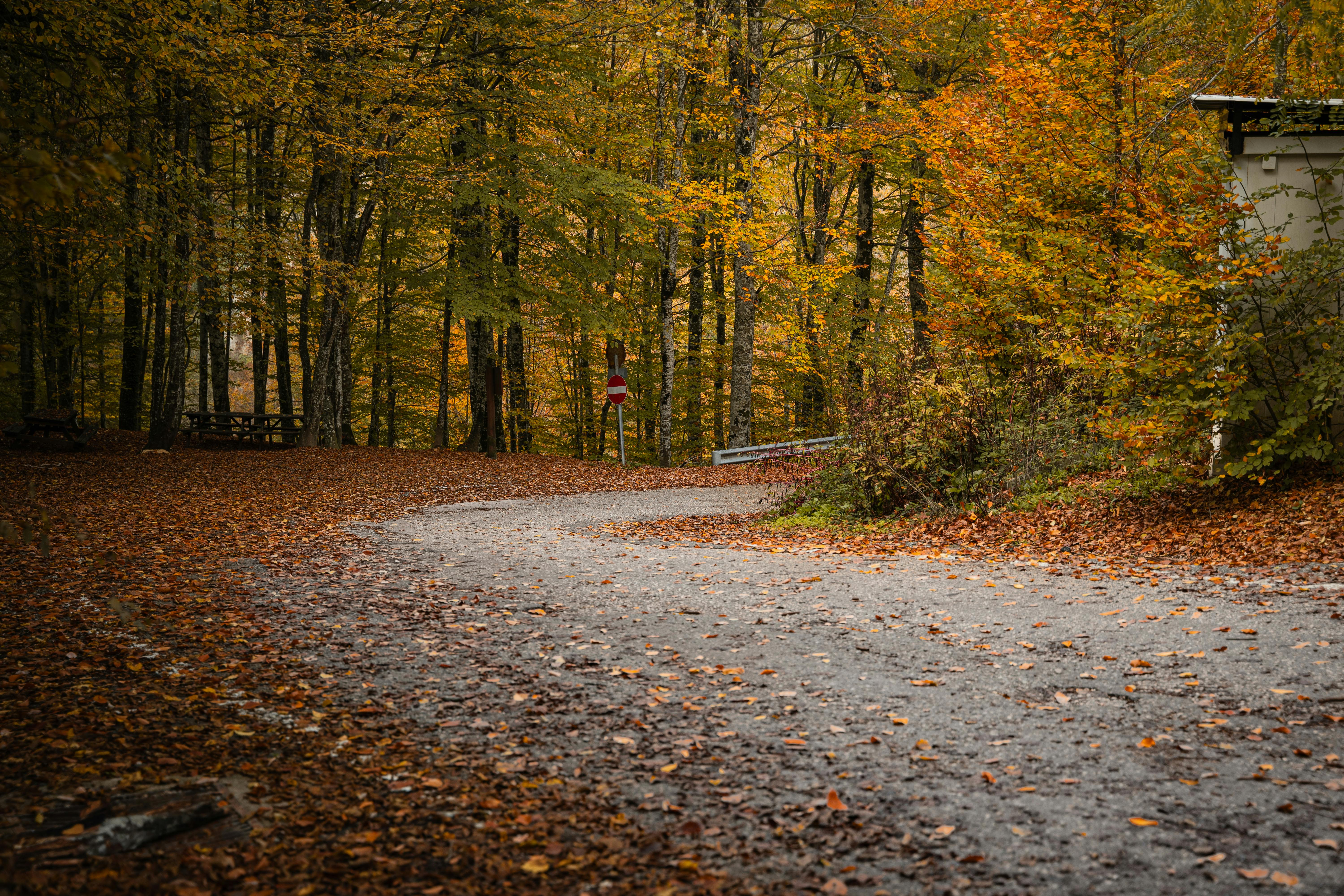 使用 kdmapper 手动映射 CE 驱动 dbk64