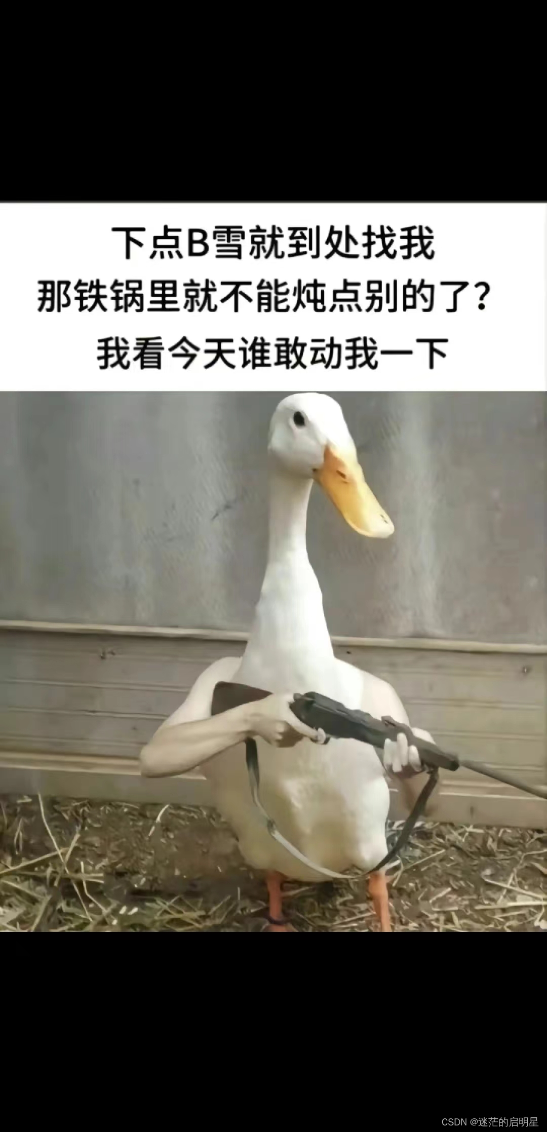 SoftWareRecommend