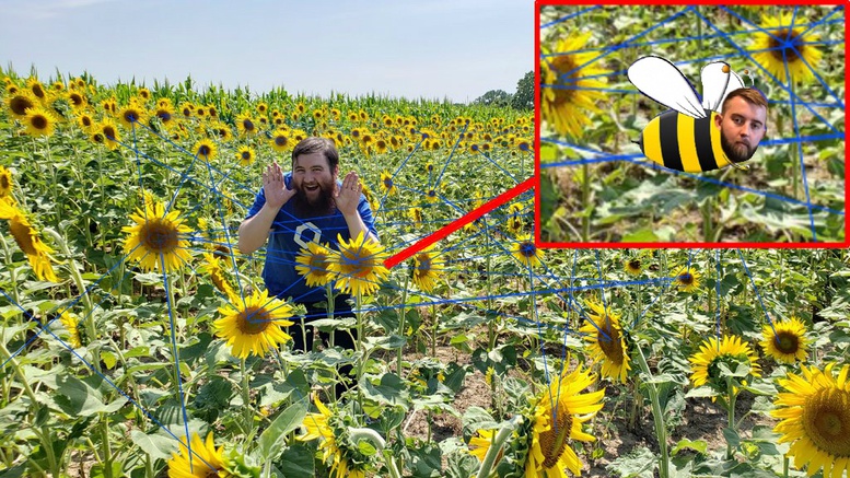 d17f803bfb3b049e0ce702cff1d618f2