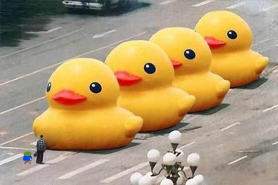 607452974c1cd5e064dd002de951762e