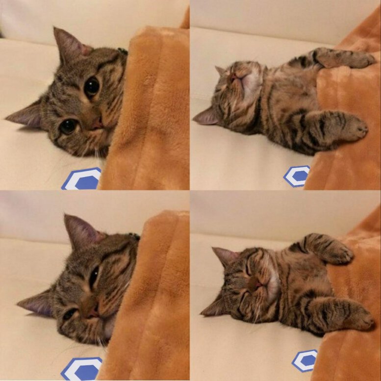 811438baab438d0362d7551795a0c33b