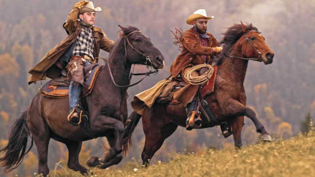 98db9f227fda54ad057eb2cedbef9aa6