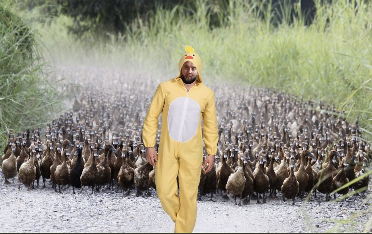 69d4fc26ded99c5d5b72b5743b88ba10