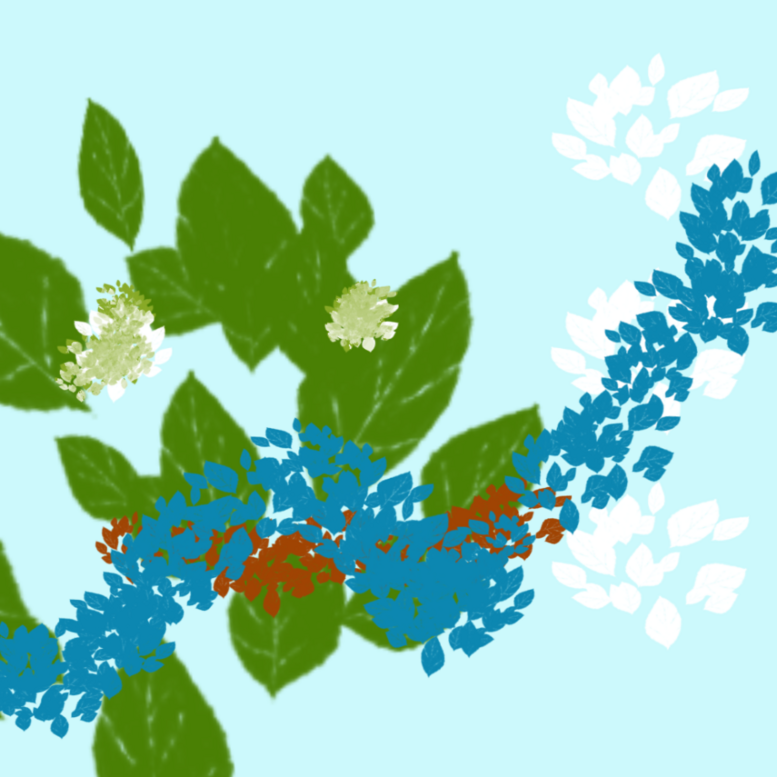 7321d90d1b57015b4a55927b4f4aa9c0