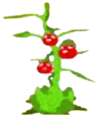 Tomatrio Seed - Plants vs Brainrots