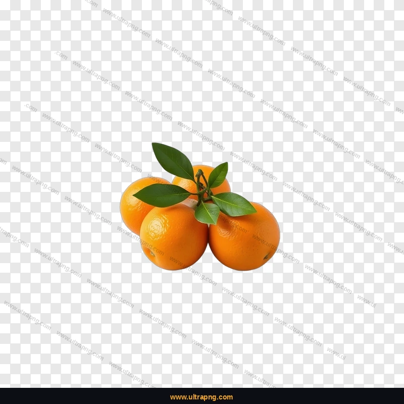 Orange PNG image on a transparent background, high resolution, free download