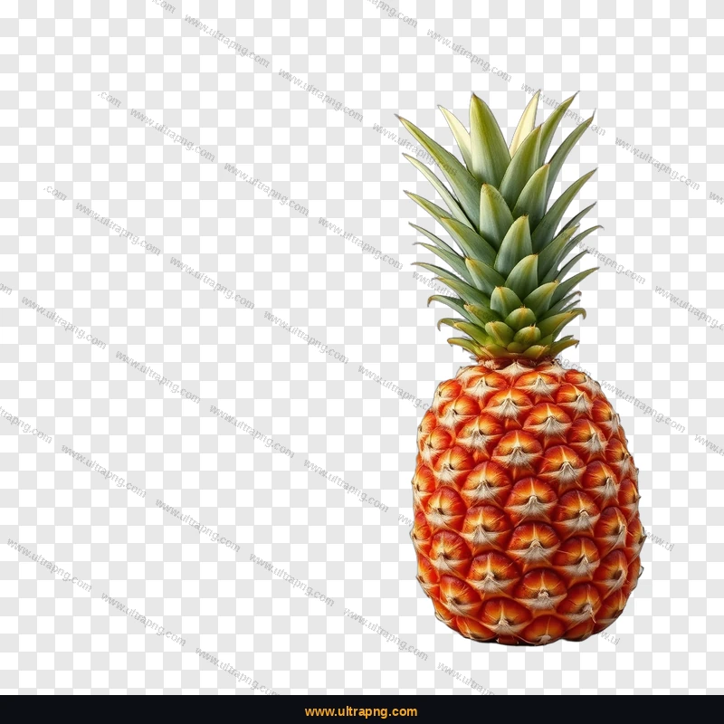 Pineapple PNG transparent background high resolution free download