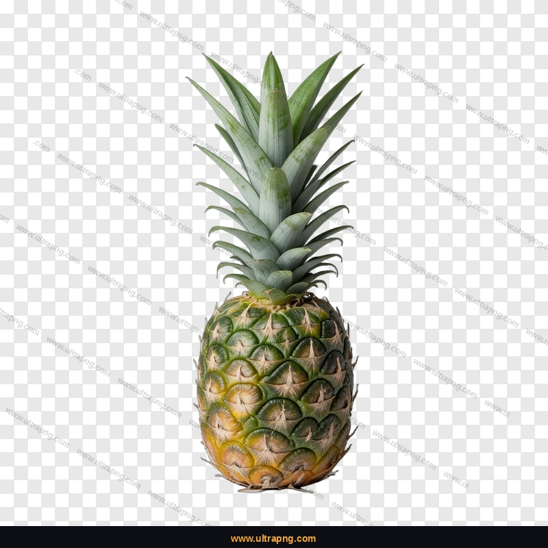 Pineapple PNG transparent background high resolution free download
