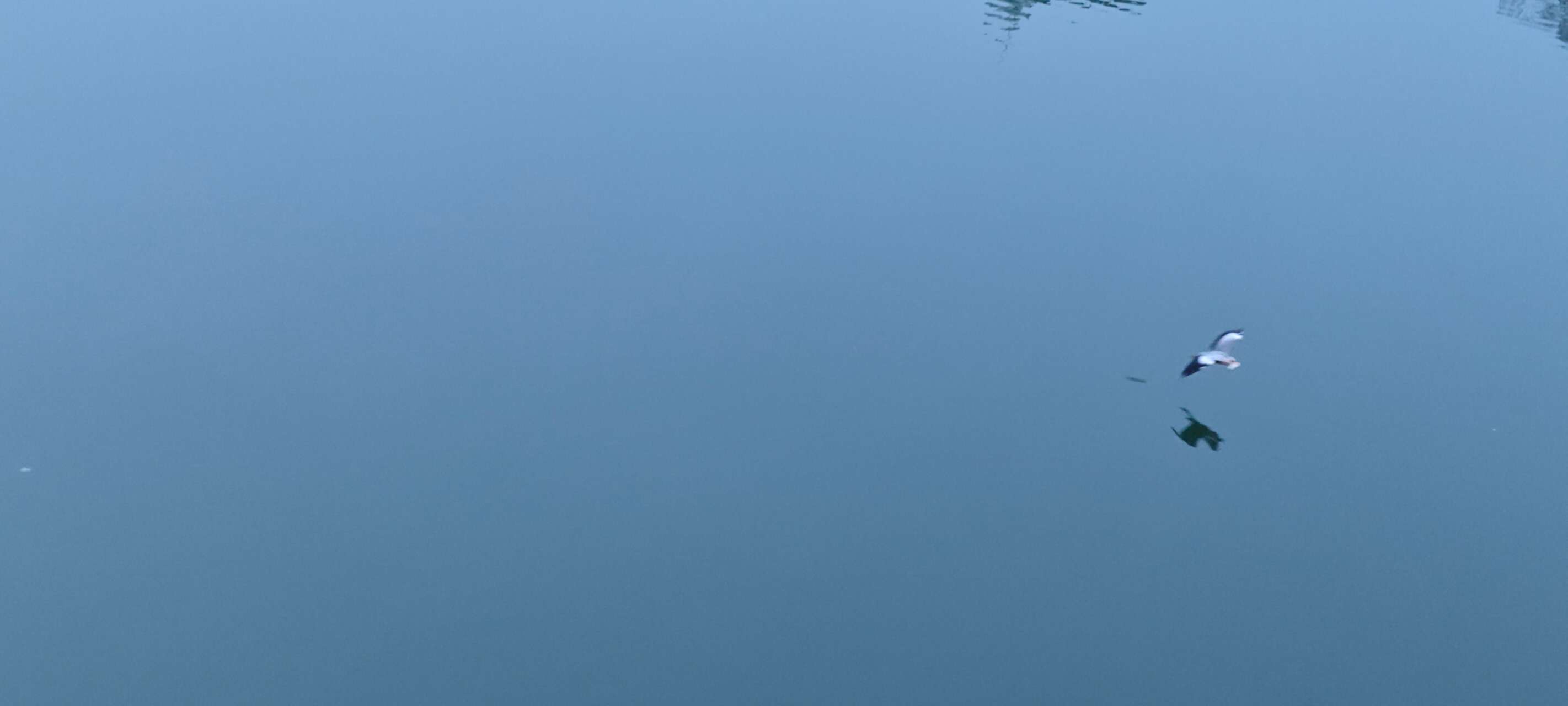 アルクアラウンド