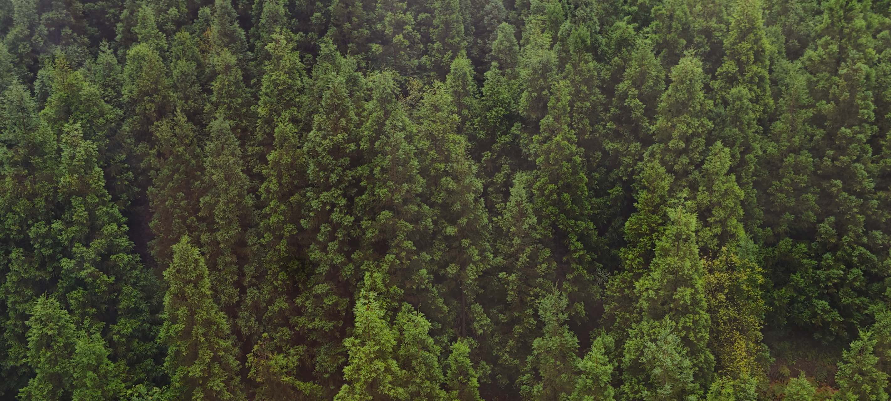 突然想起的贵州美食整理