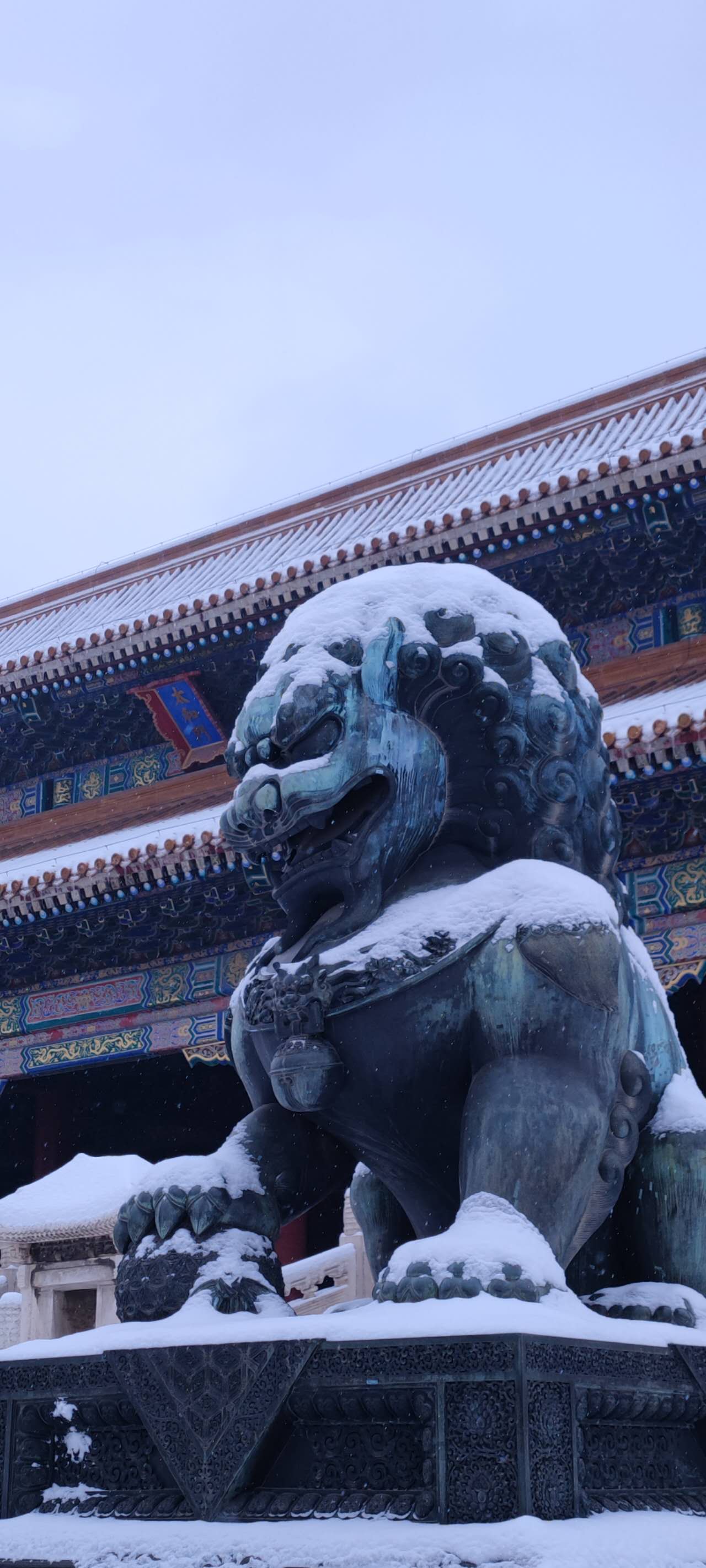 不畏风兮不畏雪