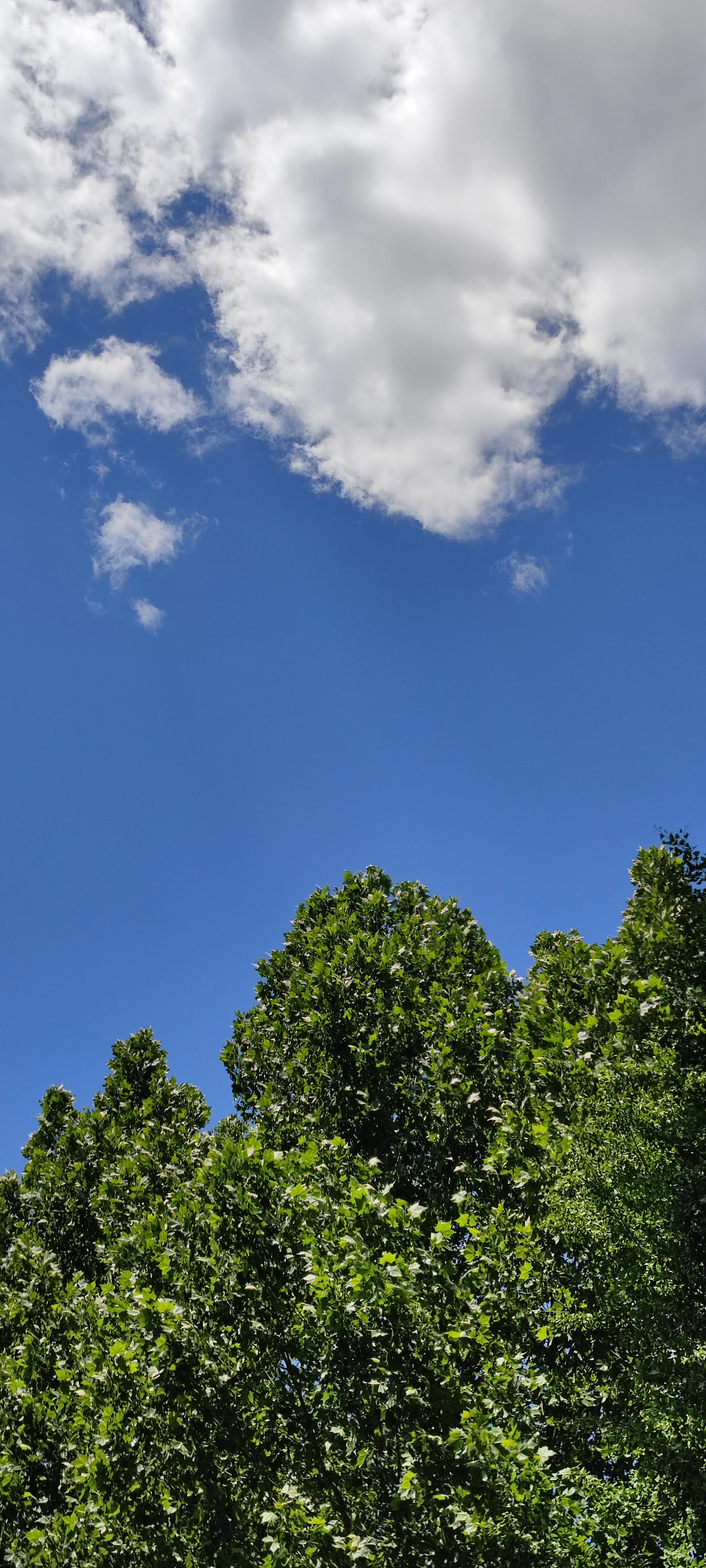 天上的云与地上的云