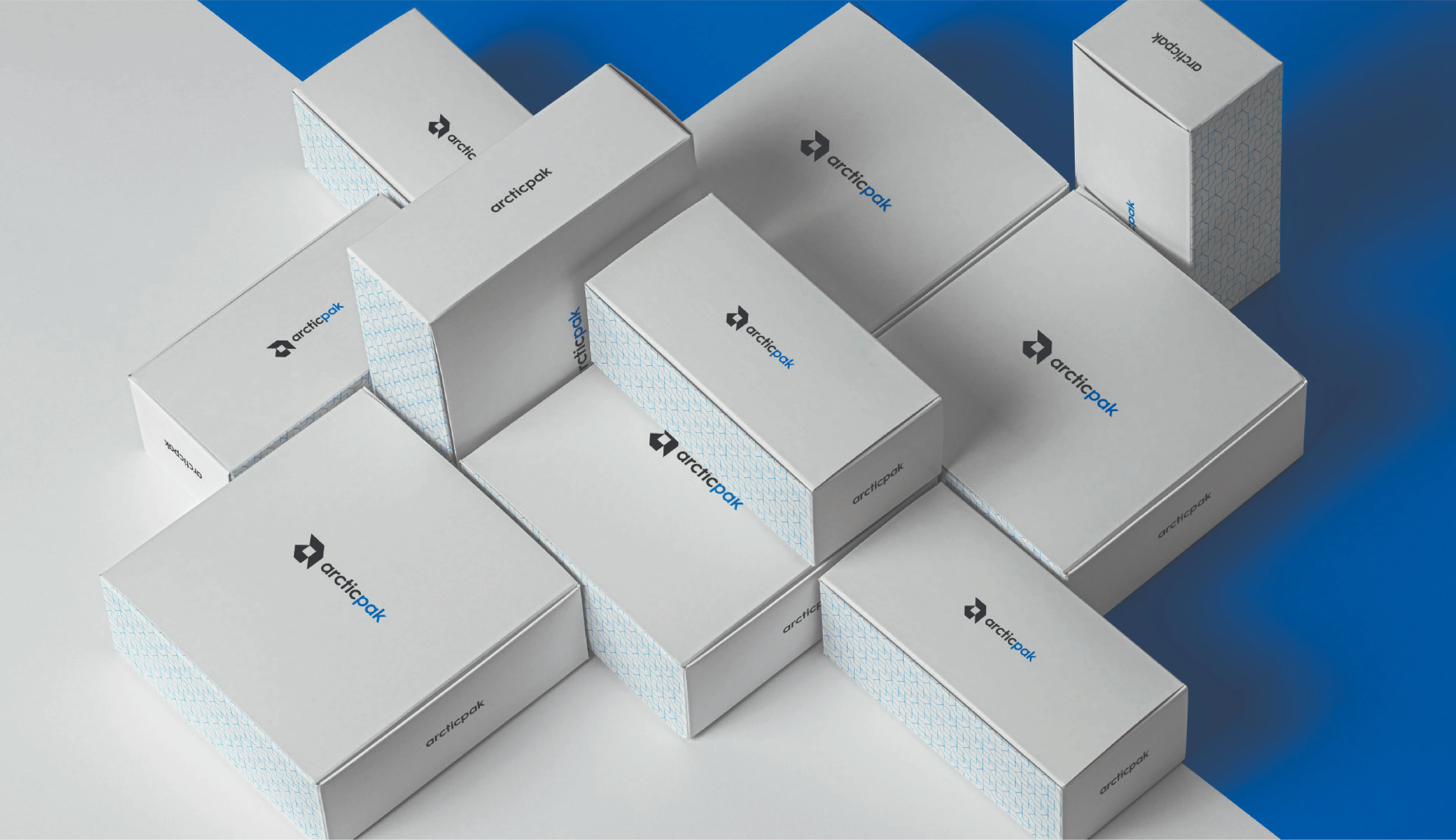 Arcticpak — image 11