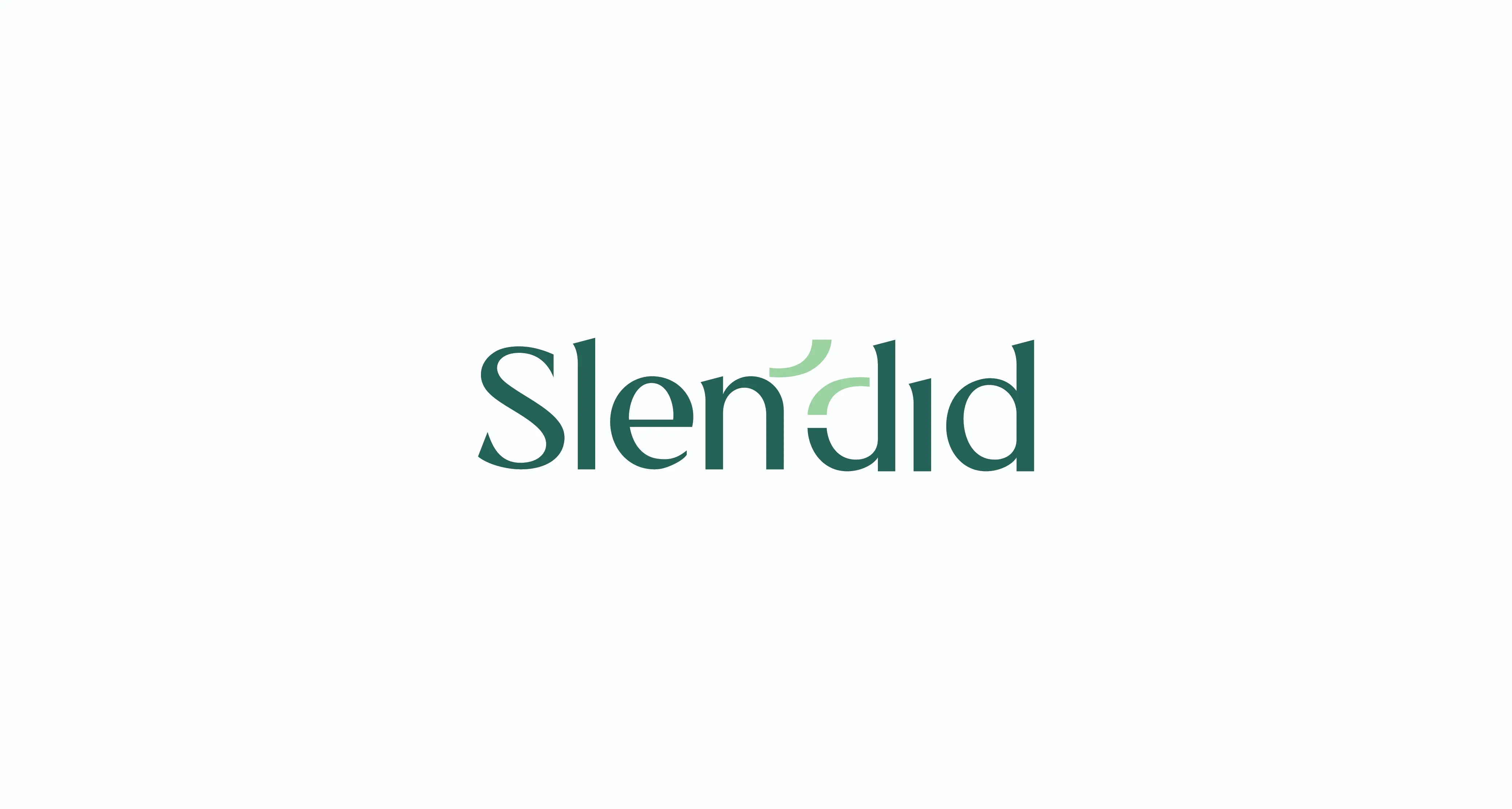 Slendid — image 4