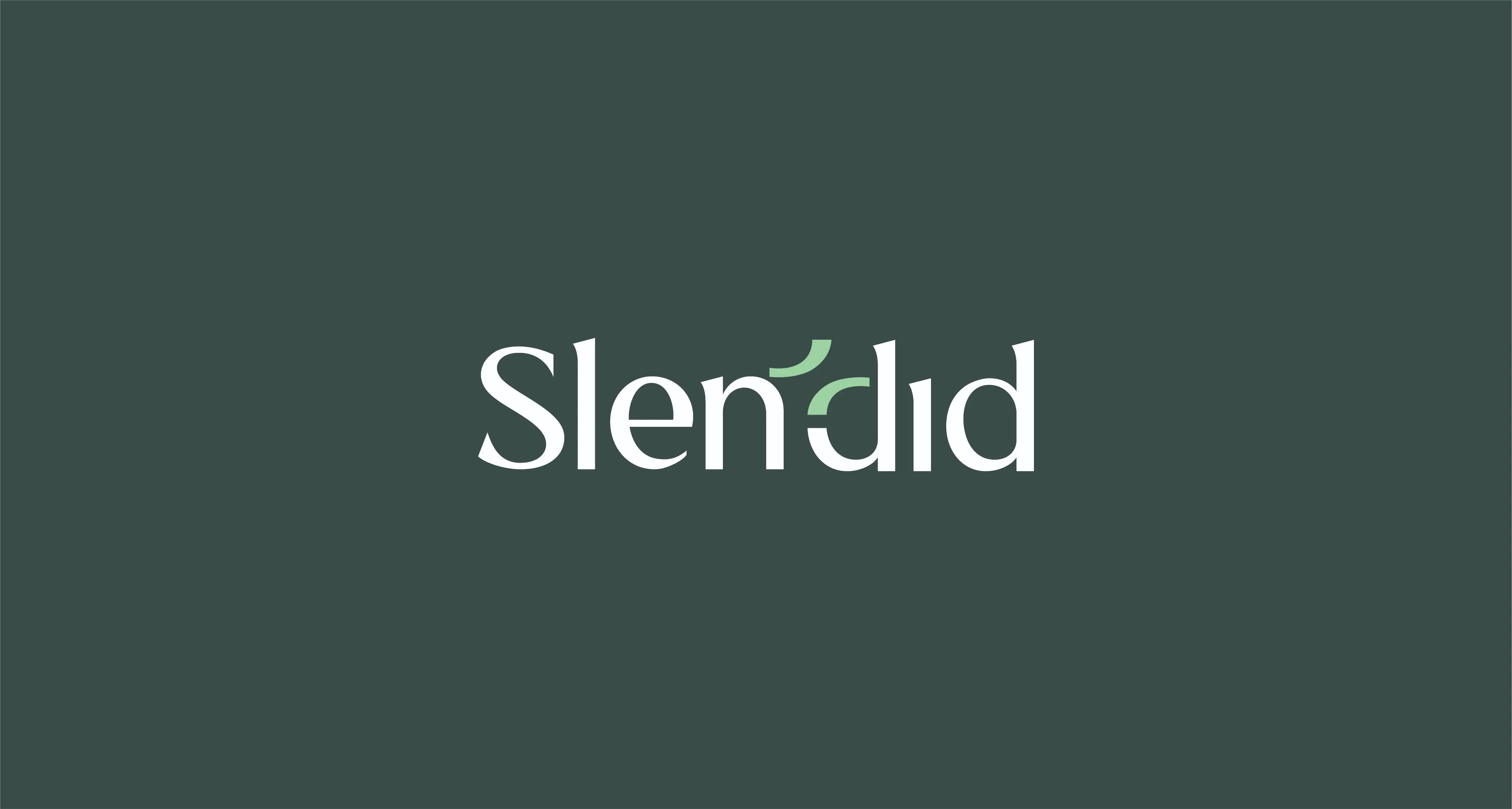Slendid — image 5