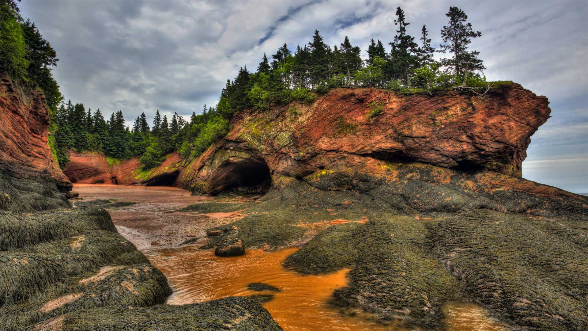 Caves and coastal features at low tide on the Bay of Fundy, near St. Martins, New Brunswick, Canada - Jamie Roach/Shutterstock)