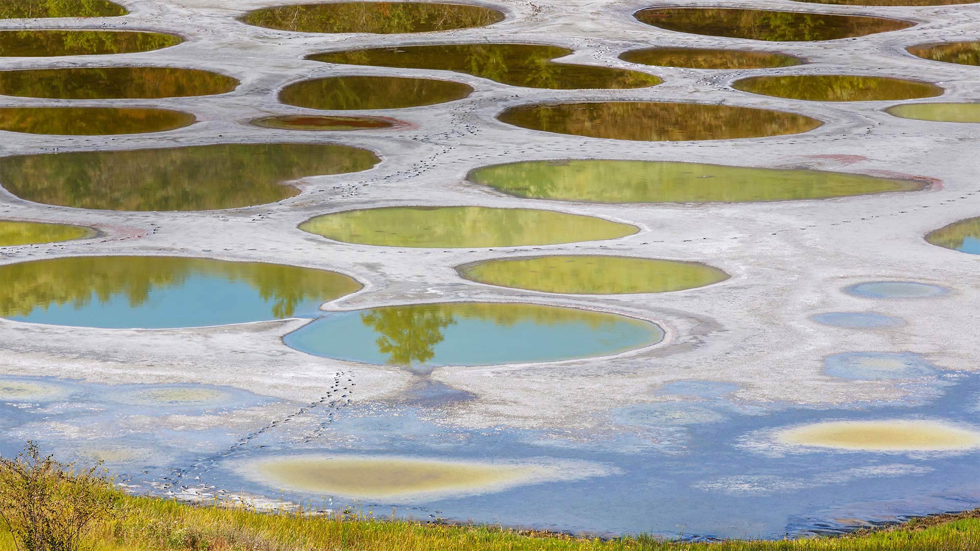Spotted Lake in the Okanagan region of British Columbia, Canada - Galyna Andrushko/Shutterstock)