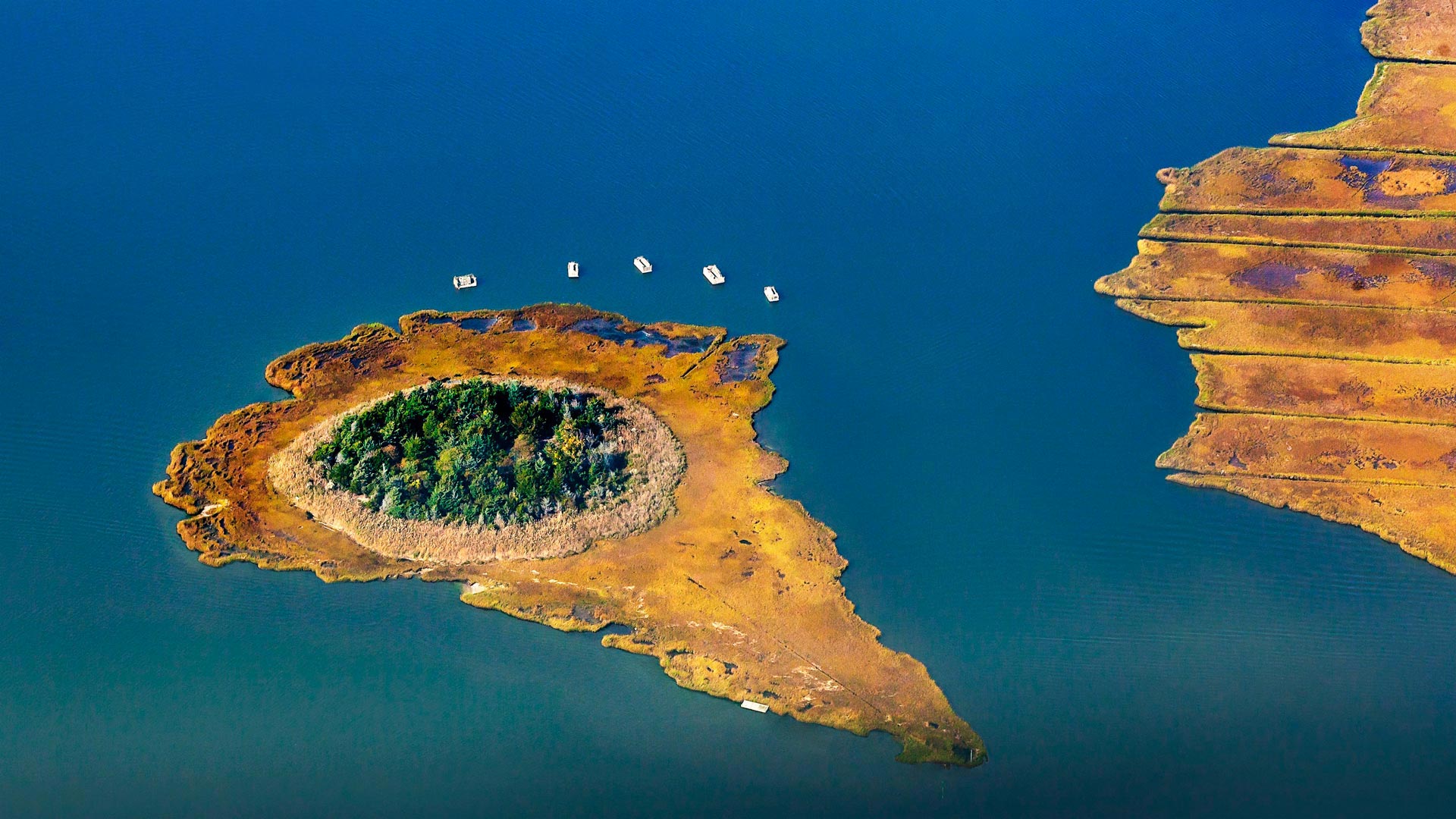 Reedy Island in Moneyboque Bay, Long Island, New York - Claudia Uripos/eStock Photo)