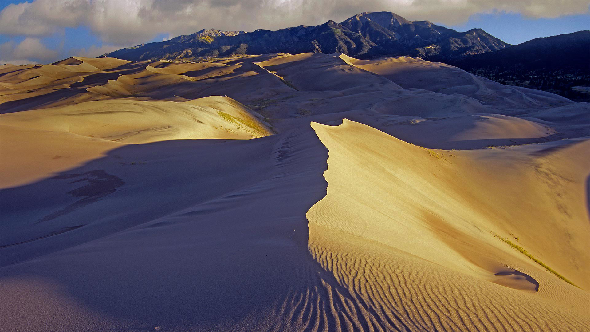 Sand dunes with Sangre de Cristo Mountains in the background, Great Sand Dunes National Park and Preserve, Colorado - Tim Fitzharris