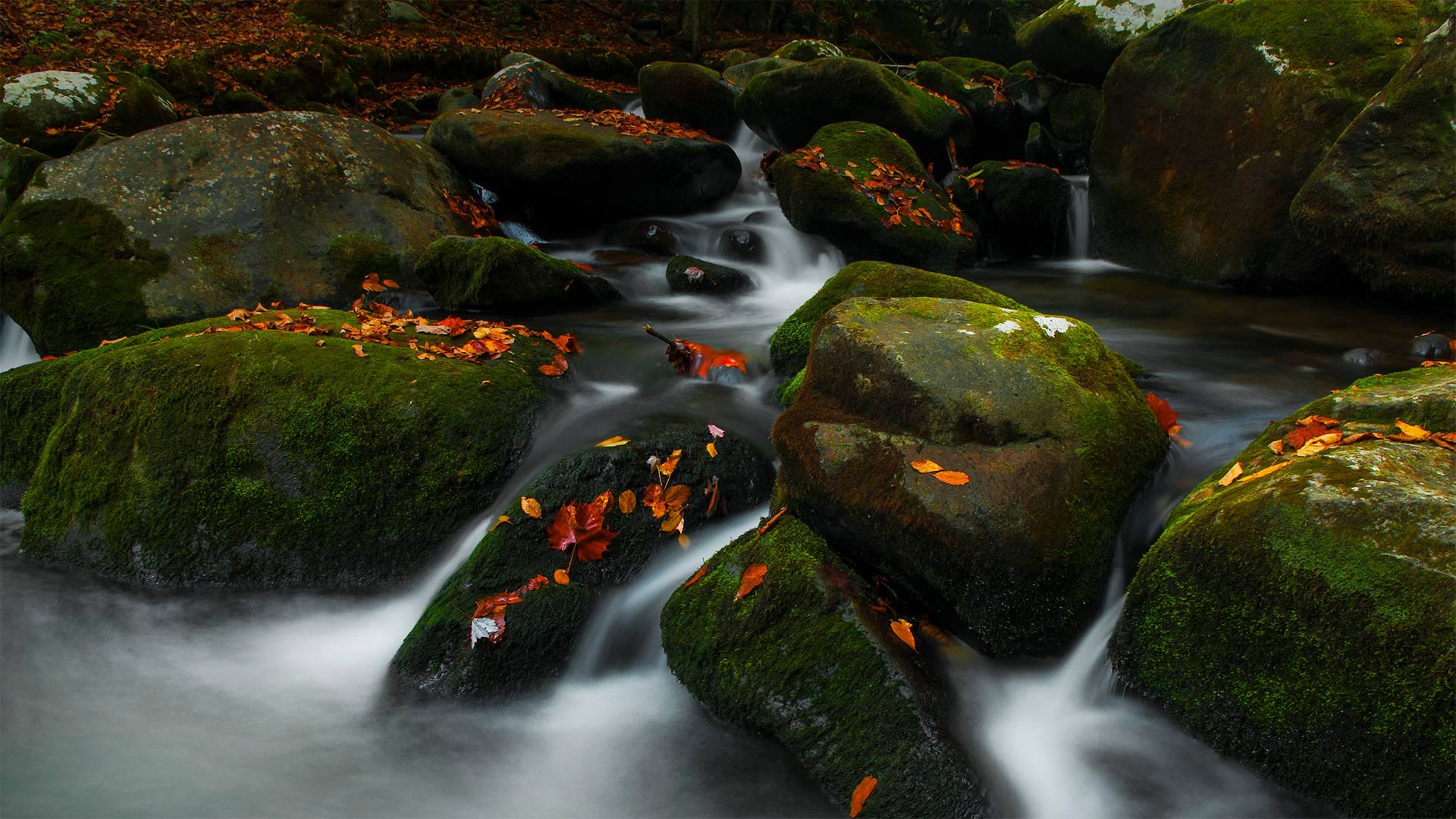 Roaring Fork in Great Smoky Mountains National Park, Tennessee - Bernie Kasper/Getty Images)