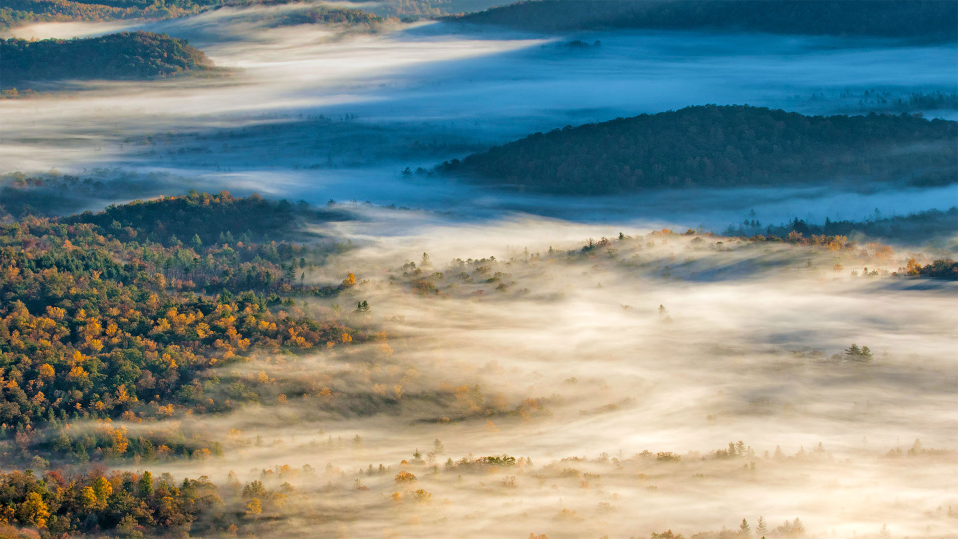 View of Pisgah National Forest near Brevard, North Carolina - Adam Jones/Danita Delimont)