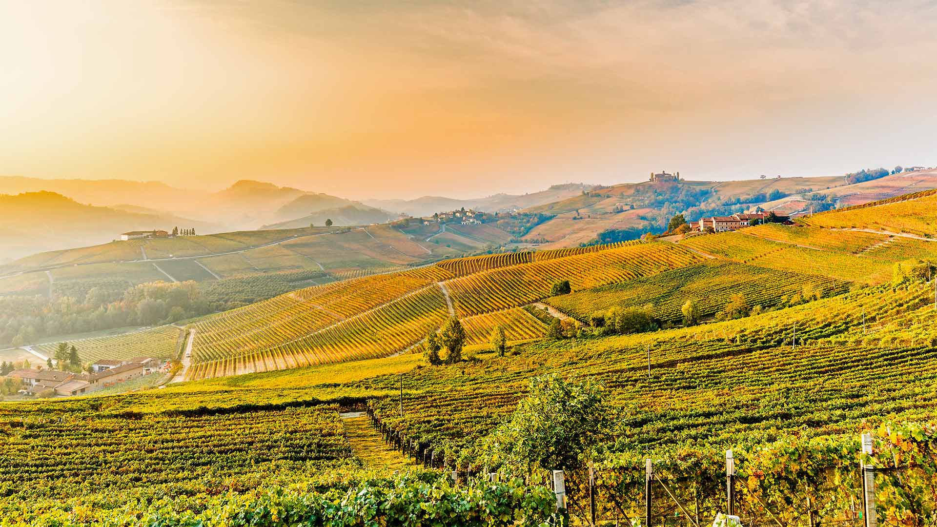 Vineyards near Barolo, Piedmont, Italy - Marco Arduino/eStock Photo)